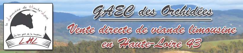 GAEC des Orchidées - Vente directe de viande limousine en Haute-Loire 43